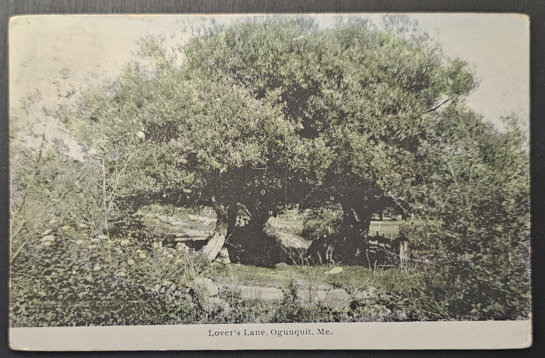 postcard USA - ME - Maine #0018 (image for) postcard USA - ME - Maine #0018